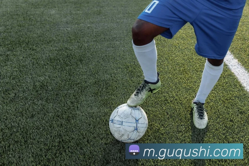 星空体育中国官方网站服务体系